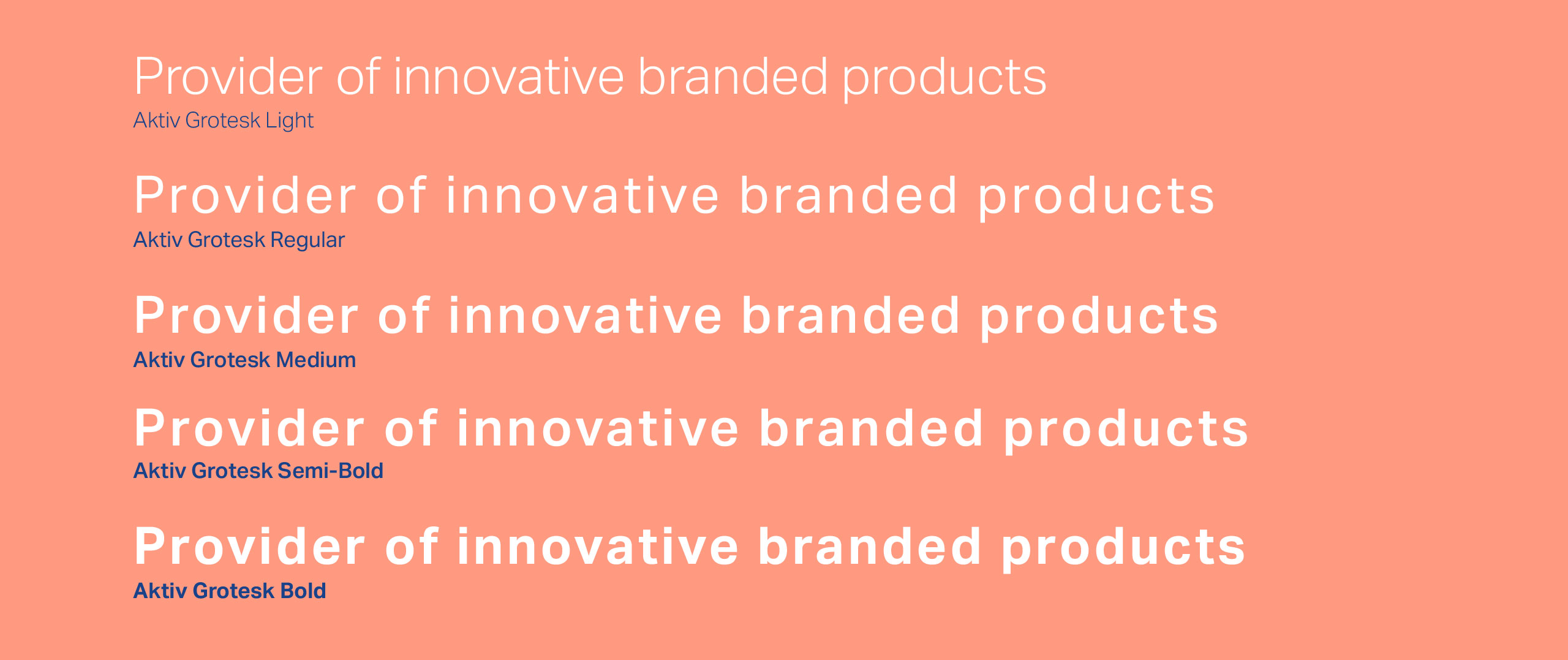 promotional-merchandise-supplier-brand-style-guide-design